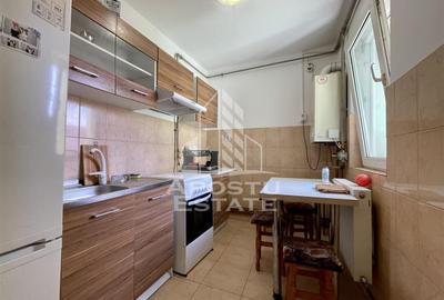 Apartament 1 camera de inchiriat, centrala, zona Girocului, Timisoara - 3