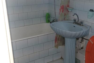 Colentina Teiul Doamnei - 4
