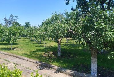 Casă de vânzare în Cucorăni - 5