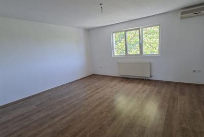 Dumbravita la intrare,  pentru locuit sau afacere - 7