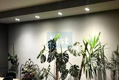 COMISION 0%! Penthouse 3 Cam 120 mp + terasă 45 mp, 2 parc, Borhanci - 5