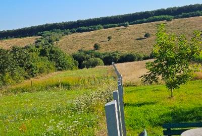 Casă cu panoramă la pădure, aproape de lacul de agrement - 3