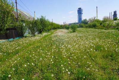 Teren 4,076mp Sarasau - 1