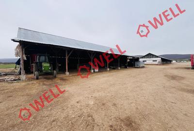 Ferma complet echipată de 22 de hectare de vânzare în Zoltan! - 12