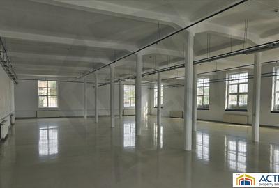 Spatiu industrial de inchiriat in Cisnadie-Sibiu - 3