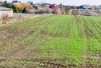TEREN INTRAVILAN | BALOTESTI | DESCHIDERE 40 M LA LAC | 9.919 MP | LAHOVARI | - 1