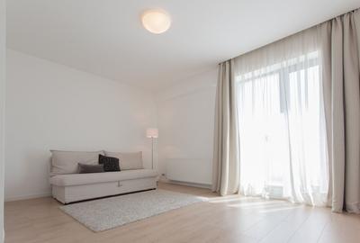 Penthouse deosebit cu 3 camere de inchiriat langa Piata Victoriei - 17