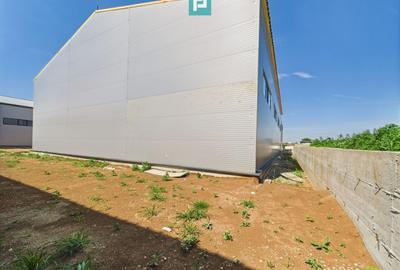 Hală industrială în zona Giarmata – Timiș - 8