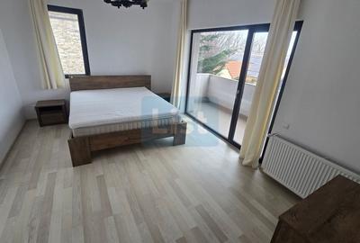 Casa de inchiriat in Faget - 11