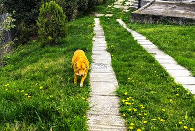 Casa Breaza 116Mp , teren 2500Mp ,zona de deal superba - 4