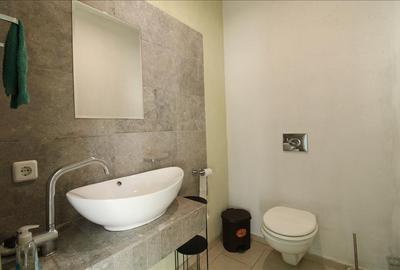 Apartament 3 camere, terasa, gradina, garaj, Central, zona Clinicilor - 4