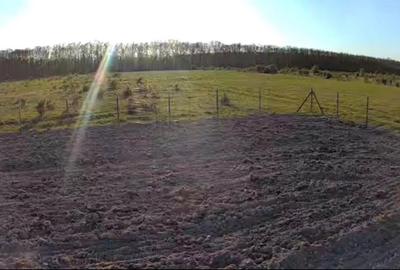 Teren Intravilan de vanzare  Pausa, Bihor ,14 km de Oradea - 1