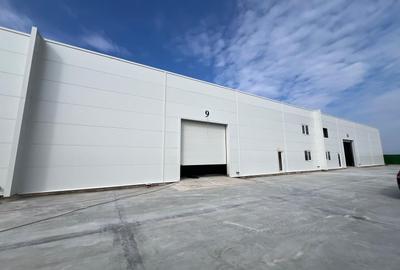 Hale industriale de inchiriat -  500 - 590 mp - Tunari - 4