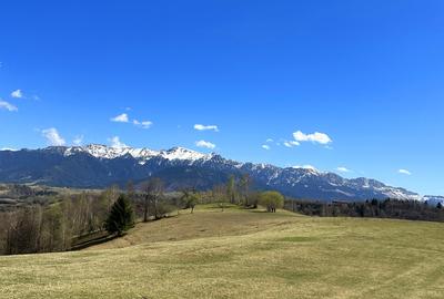 Teren 1550 mp, sat Pestera, zona Bran-Moieciu, jud. Brasov - 5