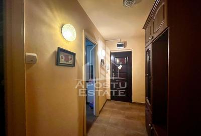 Apartament 4 camere de vanzare, zona Take Ionescu, Timisoara - 16