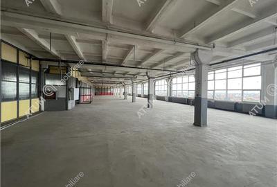 Hala industriala compartimentata in 5 spatii situat in zona Centrala - 9