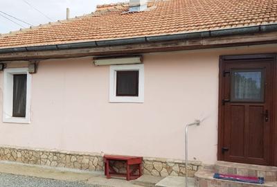 Vanzare 3 case moderne + 3 anexe si 2000 mp teren gradina, pomi in Tuzla la mare - 3