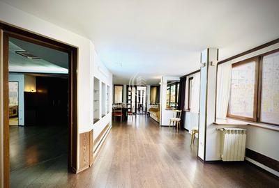 Birouri Domenii / Ion Mihalache la VILA Parcare - 1