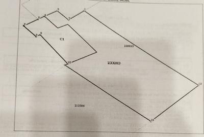 Teren Construcții intravilan de 204 mp, în Giulești