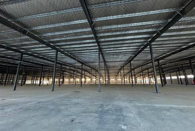 Inchiriere depozit/hala/spatiu industrial/showroom Afumati - DN2 - Dorally, Ilfo - 5