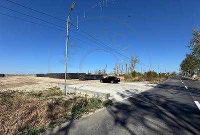 Teren extravilan de vânzare – Căteasca, Argeș | 27.201 mp | Deschidere 58,55 m - 5