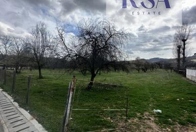 Teren 10.000 Mp Intravilan/Extravilan Livada De vanzare Bunesti Valcea - 4