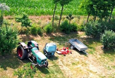 Vila + Afacere 15.000mp Clinceni - 28