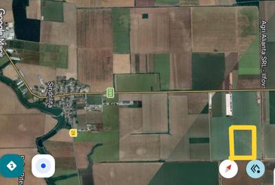 Teren agricol 19Ha comasate 346mx548m la 800m distanta fata de DN2 - 1