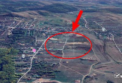 1500 mp front de 17,5 metri - Teren cu potential excelent in Salicea - 5