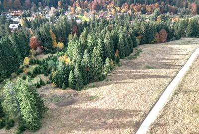 Poiana lui Manole - teren Intravilan - 2