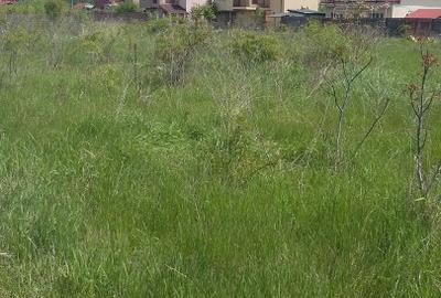 Gulia Tartasesti 12 Km de Piata Victoriei-CU august 2021, P+2, P0T 40%, CUT=1,2 - 1