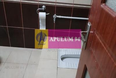 Locul Potrivit pentru afacerea ta - Otopeni- Calea București - 10