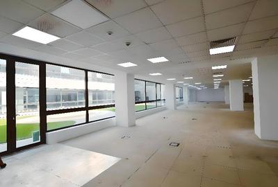 Sema Parc cladirea Paris, Grozavesti, 250 - 4160 mp  0% comision! - 6