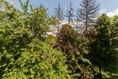 Apartament 2 camere - Expo Parc Pitesti! - 10