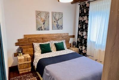 Cabana duplex rustică, 100 m de Pârtia de Ski Cavnic! - 18
