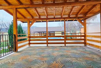 Vila cocheta prevazuta cu beci, terasa, piscina, anexa si teren - 3