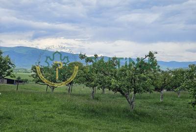 Teren 5.000 mp cu priveliște superbă – Cisnădie, Sibiu - 4