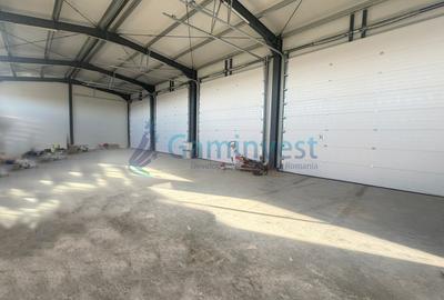 Hala industriala noua de inchiriat, Les, Bihor - 6