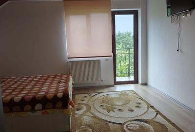 FARA COMISIOANE PENSIUNE cu 7 camere si 6 bai P+E garaj 2 terase gaze curent apa - 8