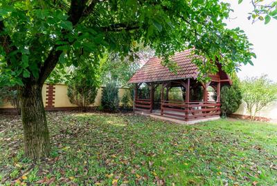 Vila  6 camere in Cristur, jud Hunedoara - 50