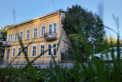 VÂNZARE - SPAȚIU COMERCIAL, CLĂDIRE INTERBELICĂ, CENTRU SIRET - 3