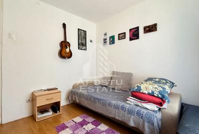 Apartament cu 3 camere, curte si boxa de vanzare, Zona Dorobantilor - 7