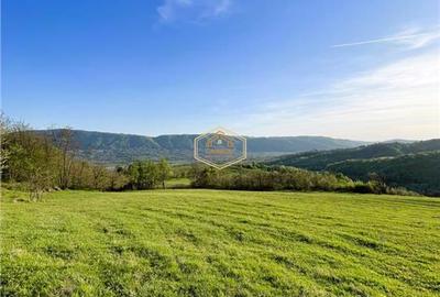 Teren de 9.500 mp in Maramures | Varf de deal, priveliste de pus in rama | Retre - 8