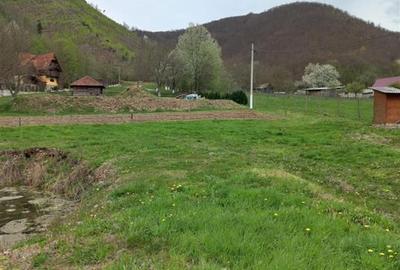 Teren intravilan cu utilitati, zona turistica Bulz,Bihor - 3
