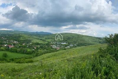 Domeniu 15.900 mp în Fințești | Casă + Investiție Dealu Mare - 16