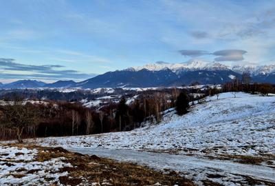 Teren cu priveliste deosebita /muntii Bucegi,in sat Pestera/Moeciu zona La Odai - 6