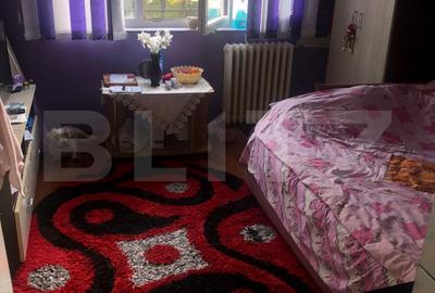 Camera de camin, 17 mp, zona Nicolina - 1