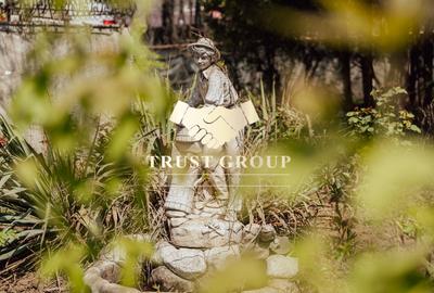 Casă individuală cu arhitectură deosebită și potențial investițional - 11