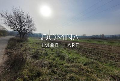 Vânzare teren intravilan - 2518 mp - strada Amurgului - Ursați - 3