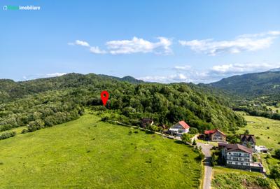 Teren cu vedere superba spre Cheile Rasnoavei, 8800 mp, la marginea pădurii - 7